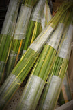 Palm Bales Pk. 20