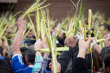 Palm strips