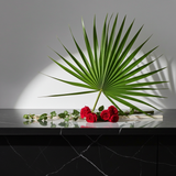 Palmetto Fan Pack of 10