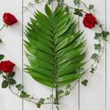 Emerald Palm Pack of 15