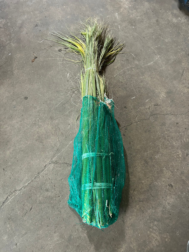 Paquete de 20 fardos de palma