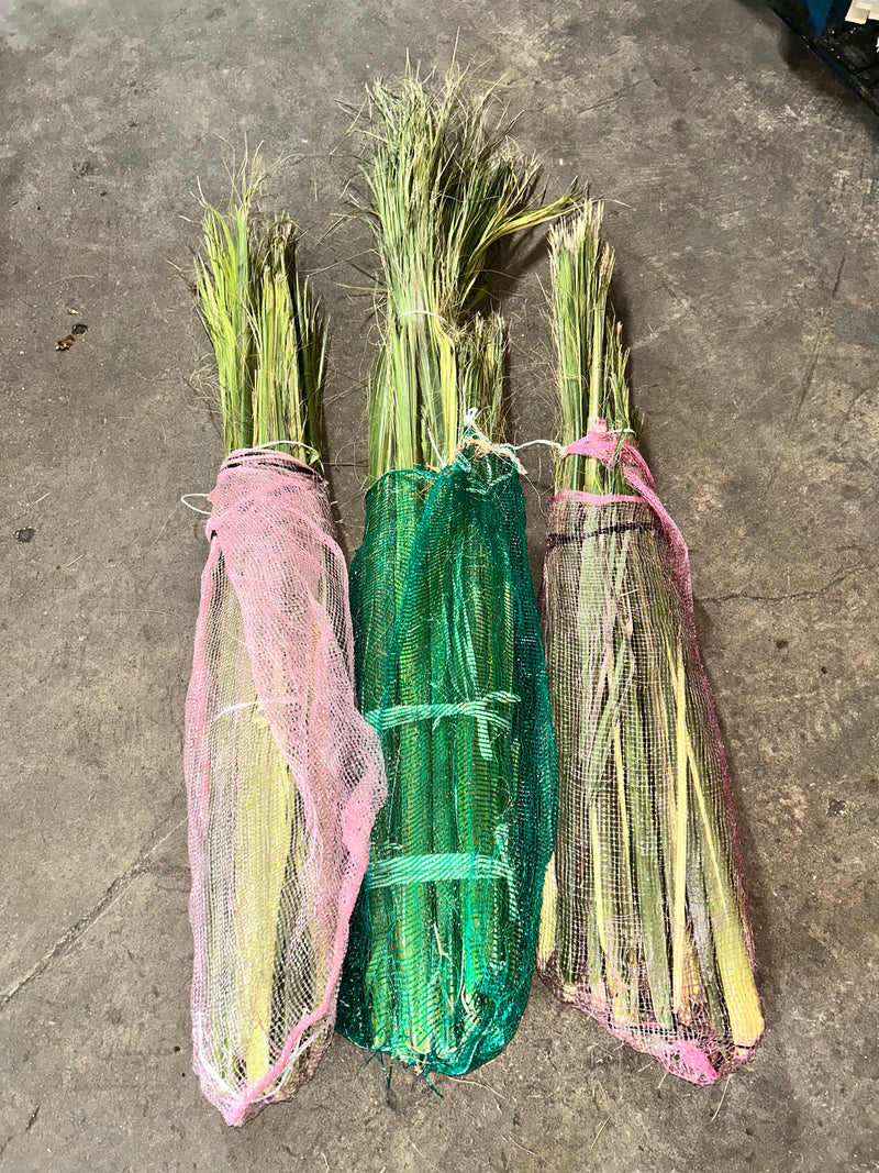 Paquete de 20 fardos de palma