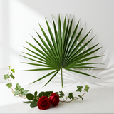 Palmetto Fan Pack of 10