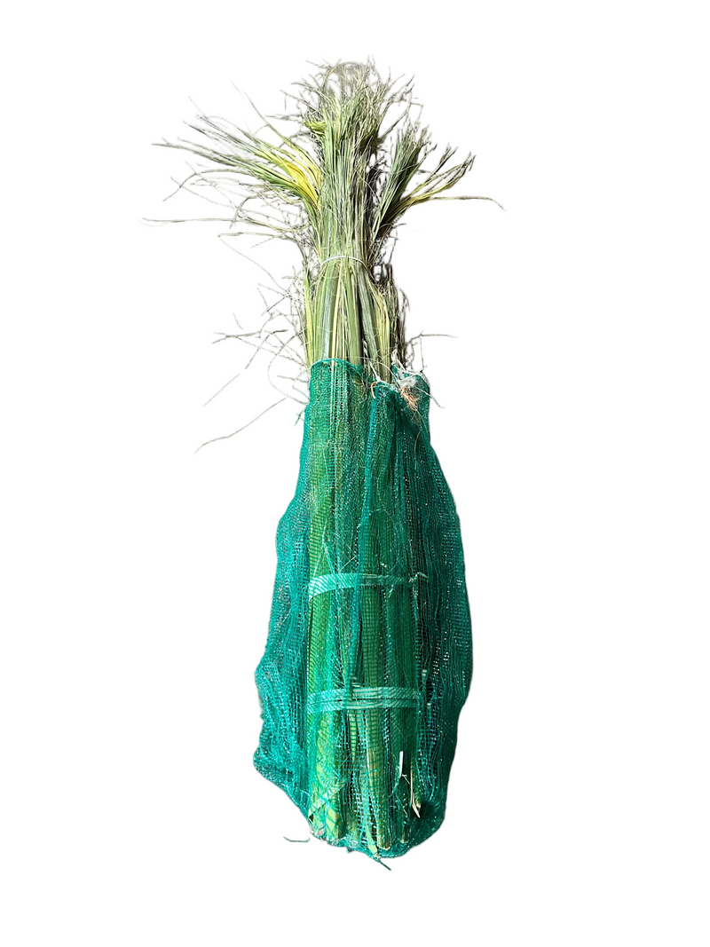 Bunch of green Palm Stalks in a green mesh bag.