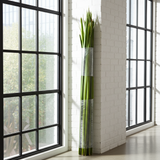 Paquete de 20 fardos de palma