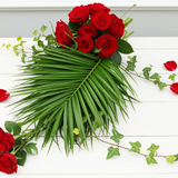 Paquete de 10 Phoenix Roebellini