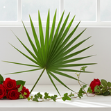 Palmetto Fan Pack of 10