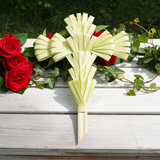 Undecorated Palm Cross 24"