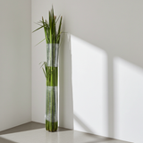 Paquete de 20 fardos de palma