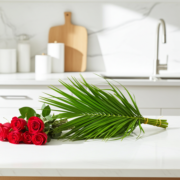 Phoenix Roebellini Pack of 10 – Fresh Palm Leaves